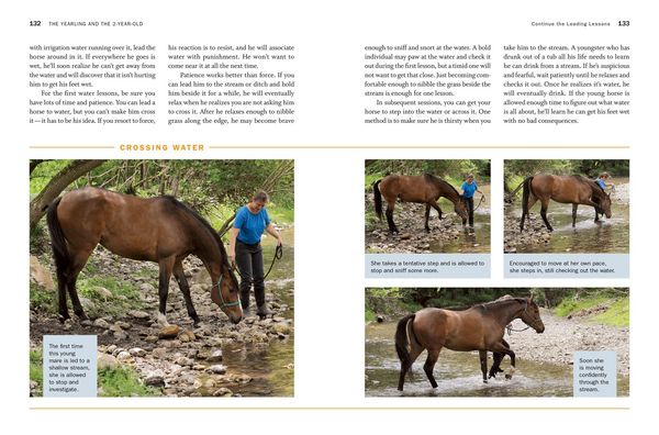 Produktbild: Storey's Guide to Training Horses, 3rd Edition