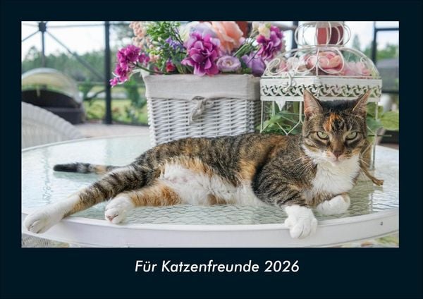 Produktbild: F&uuml;r Katzenfreunde 2026 Fotokalender DIN A4