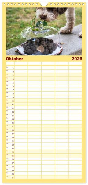 Produktbild: Familienplaner 2026 - Franz&ouml;sische Tr&uuml;ffelwelten mit 5 Spalten (Wandkalender, 21 x 45 cm) CALVENDO