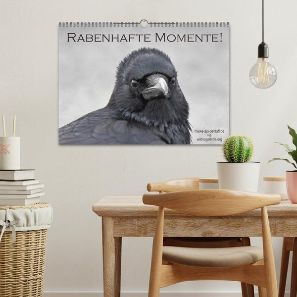 Produktbild: Rabenhafte Momente! (Wandkalender 2026 DIN A3 quer), CALVENDO Monatskalender