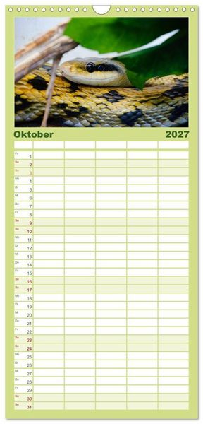 Produktbild: Familienplaner 2027 - Schlangen mit 5 Spalten (Wandkalender, 21 x 45 cm) CALVENDO