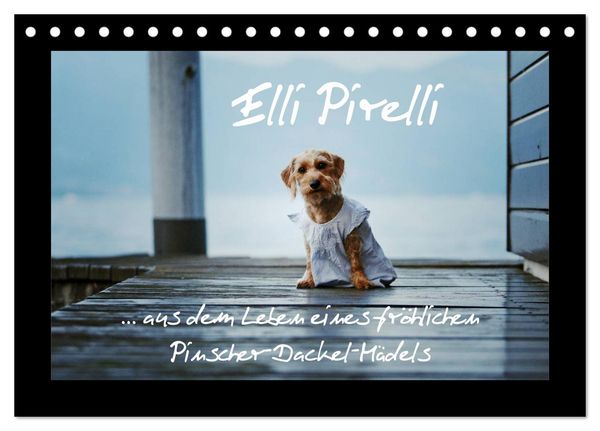 Produktbild: Elli Pirelli... aus dem Leben eines fr&ouml;hlichen Pinscher-Dackel-M&auml;dels (Tischkalender 2025 DIN A5 quer), CALVENDO Monatskalender