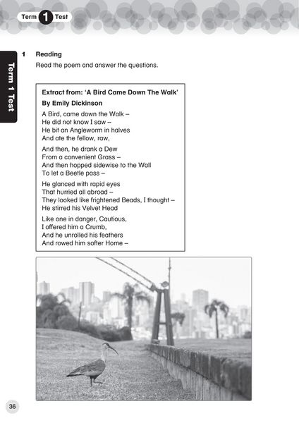 Produktbild: International Primary English Progress Book Student's Book: Stage 5