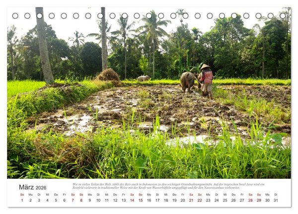 Produktbild: JAVA Natur pur (Tischkalender 2026 DIN A5 quer), CALVENDO Monatskalender