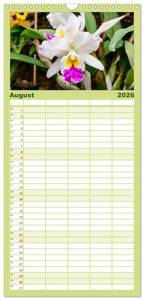 Produktbild: Familienplaner 2026 - Wunderbare Orchideen mit 5 Spalten (Wandkalender, 21 x 45 cm) CALVENDO