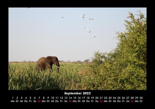 Produktbild: Bilder der Natur 2025 Fotokalender DIN A3