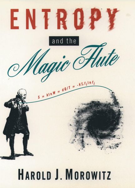 Produktbild: Entropy and the Magic Flute