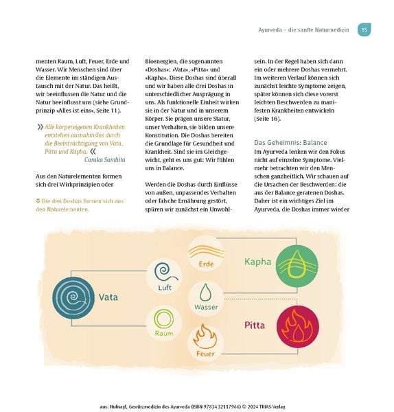 Produktbild: Gew&uuml;rzmedizin des Ayurveda. Die Heilkraft der Gew&uuml;rze nutzen