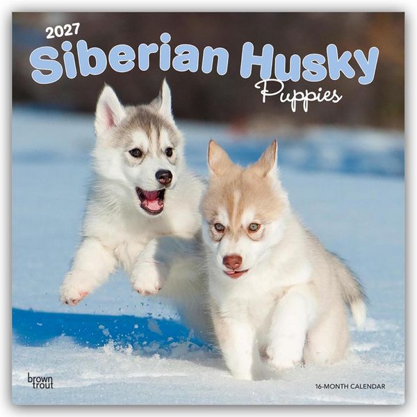 Produktbild: Siberian Husky Puppies &ndash; Siberian Husky Welpen 2027 &ndash; 16-Monatskalender