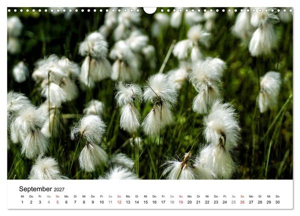 Produktbild: Paradies Naturgarten (Wandkalender 2027 DIN A3 quer), CALVENDO Monatskalender