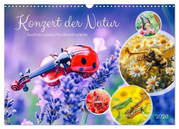 Produktbild: Konzert der Natur - Insekten spielen Musikinstrumente (Wandkalender 2026 DIN A3 quer), CALVENDO Monatskalender