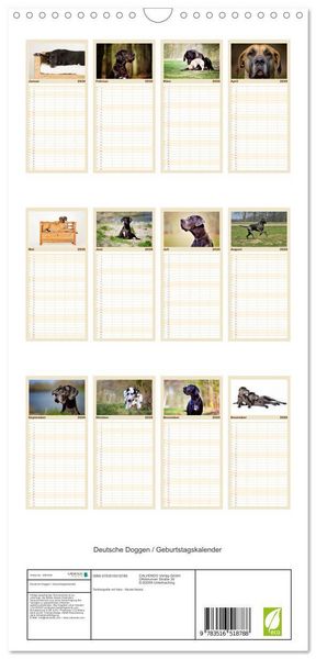 Produktbild: Familienplaner 2026 - Deutsche Doggen / Geburtstagskalender mit 5 Spalten (Wandkalender, 21 x 45 cm) CALVENDO