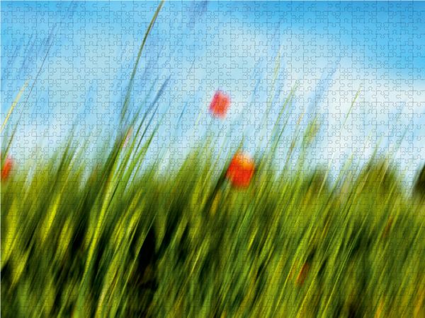 Produktbild: CALVENDO Puzzle MohnARTig 1000 Teile Lege-Gr&ouml;&szlig;e 64 x 48 cm Foto-Puzzle Bild von Martina Marten