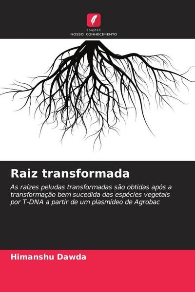 Produktbild: Raiz transformada