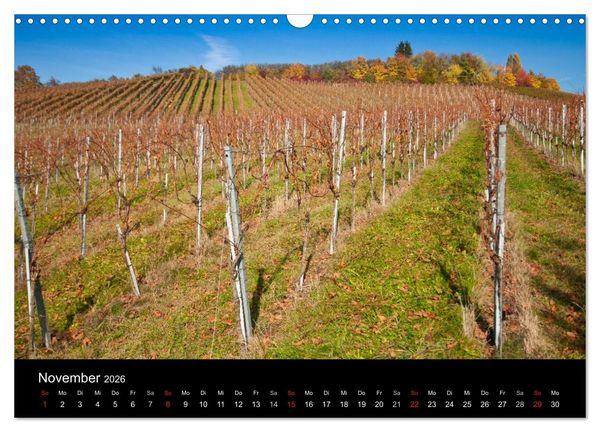 Produktbild: Weinberge im Remstal (Wandkalender 2026 DIN A3 quer), CALVENDO Monatskalender