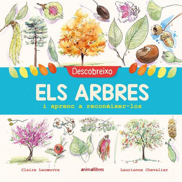 Produktbild: Descobreixo els arbres i aprenc a recon&egrave;ixer-los