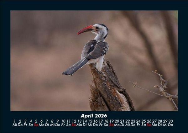 Produktbild: Vogelparadies 2026 Fotokalender DIN A5