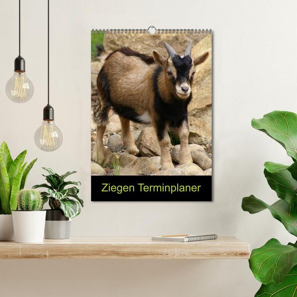Produktbild: Ziegen Terminplaner (Wandkalender 2026 DIN A3 hoch), CALVENDO Monatskalender