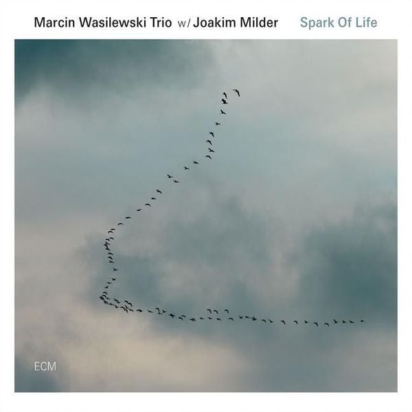Produktbild: Spark of Life