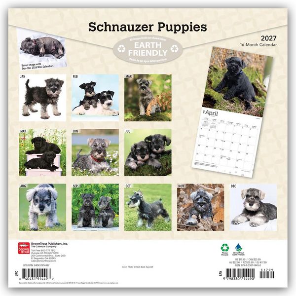 Produktbild: Schnauzer Puppies &ndash; Schnauzer Welpen 2027 &ndash; 16-Monatskalender