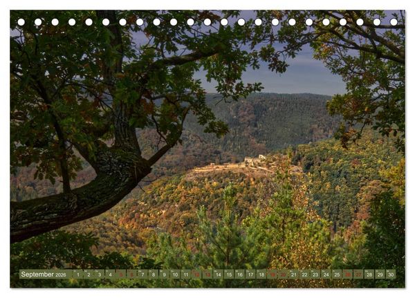 Produktbild: Augenschmaus Pf&auml;lzer Wald (Tischkalender 2026 DIN A5 quer), CALVENDO Monatskalender