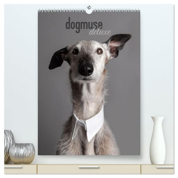Produktbild: dogmuse deluxe (hochwertiger Premium Wandkalender 2026 DIN A2 hoch), Kunstdruck in Hochglanz