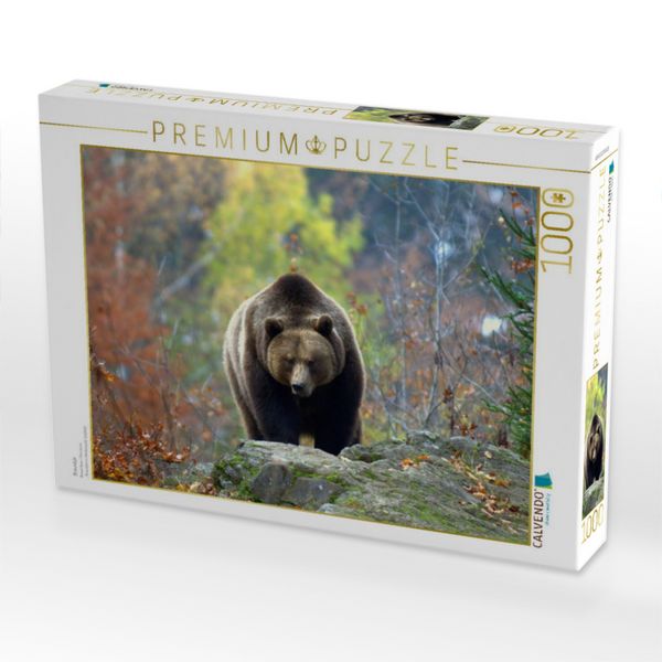 Produktbild: CALVENDO Puzzle Braunb&auml;r | 1000 Teile Lege-Gr&ouml;&szlig;e 64x48cm Foto-Puzzle f&uuml;r gl&uuml;ckliche Stunden
