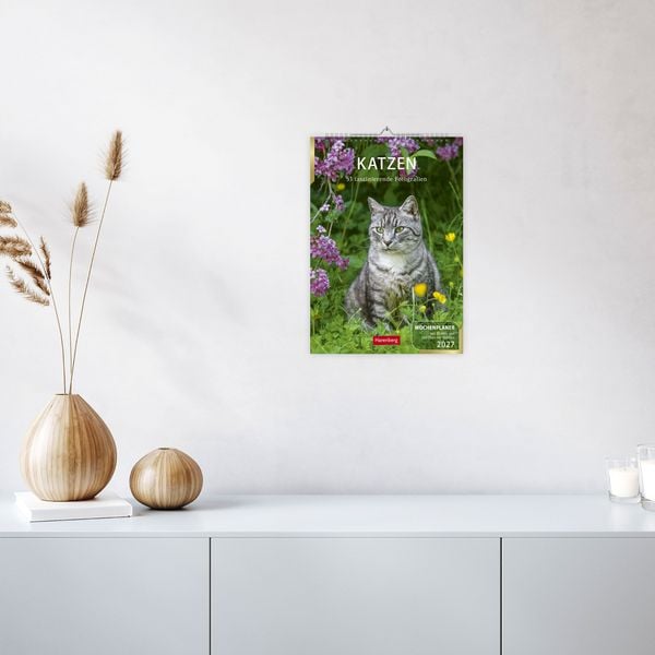 Produktbild: Katzen Wochenplaner 2027 - 53 faszinierende Fotografien