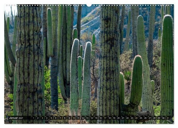 Produktbild: Naturwelt Mittelamerika (Wandkalender 2027 DIN A2 quer), CALVENDO Monatskalender