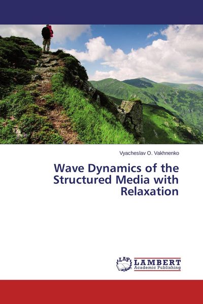 Produktbild: Wave Dynamics of the Structured Media with Relaxation