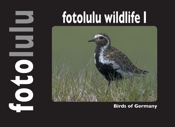 Produktbild: Fotolulu wildlife I