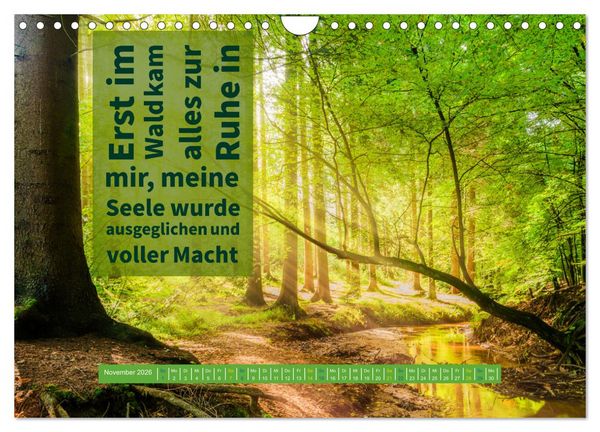 Produktbild: WALD Erholung pur (Wandkalender 2026 DIN A4 quer), CALVENDO Monatskalender