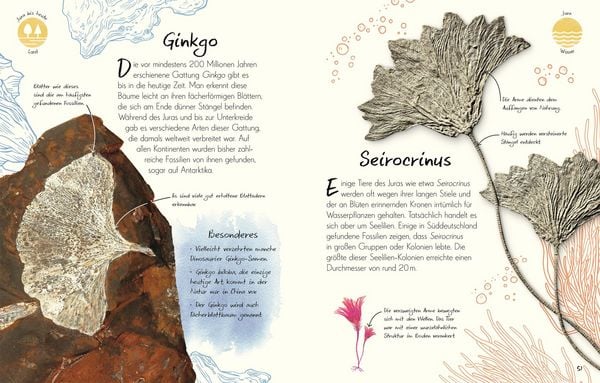 Produktbild: Wundervolle Welt - Kleine Sch&auml;tze. Fossilien