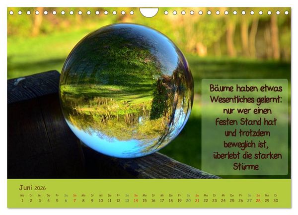 Produktbild: Wunderbare Waldkugeln (Wandkalender 2026 DIN A4 quer), CALVENDO Monatskalender