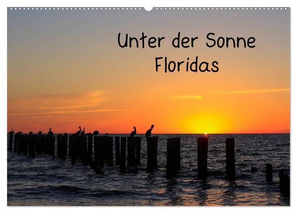 Produktbild: Unter der Sonne Floridas (Wandkalender 2026 DIN A2 quer), CALVENDO Monatskalender