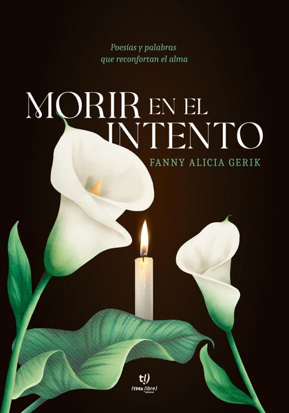 Produktbild: Morir en el intento