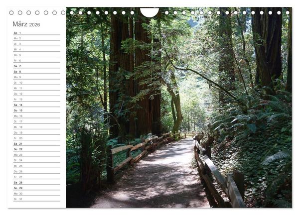 Produktbild: Kalifornien - wundersch&ouml;ne Westk&uuml;ste (Wandkalender 2026 DIN A4 quer), CALVENDO Monatskalender