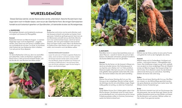 Produktbild: Frische Ernte zum kleinen Preis