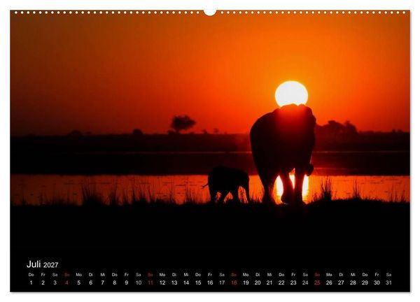 Produktbild: Elefanten - Die sanften Riesen Afrikas (Wandkalender 2027 DIN A2 quer), CALVENDO Monatskalender