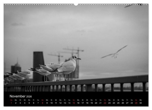 Produktbild: Mein Hamburg (hochwertiger Premium Wandkalender 2026 DIN A2 quer), Kunstdruck in Hochglanz