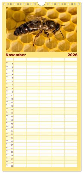 Produktbild: Familienplaner 2026 - Bienenkalender mit 5 Spalten (Wandkalender, 21 x 45 cm) CALVENDO