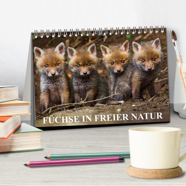 Produktbild: F&uuml;chse in freier Natur (Tischkalender 2026 DIN A5 quer), CALVENDO Monatskalender