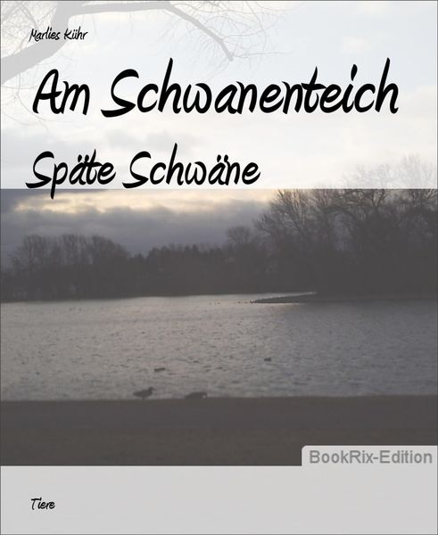 Produktbild: Am Schwanenteich