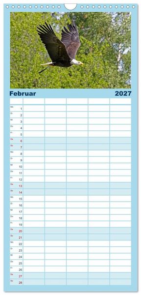 Produktbild: Familienplaner 2027 - V&ouml;gel im Flug - Akrobaten der L&uuml;fte mit 5 Spalten (Wandkalender, 21 x 45 cm) CALVENDO