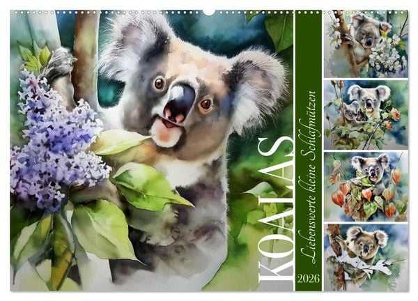 Koalas, liebenswerte kleine Schlafmützen (Wandkalender 2026 DIN A2 quer), CALVENDO Monatskalender