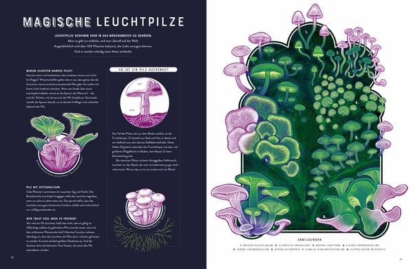 Produktbild: Glow &ndash; Das wundersame Leuchten der Natur