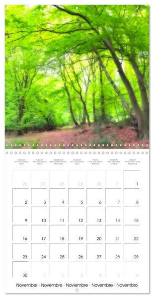 Produktbild: German Landscapes (Wall Calendar 2026 12 &times; 12 Inch) CALVENDO 12 Month Wall Calendar