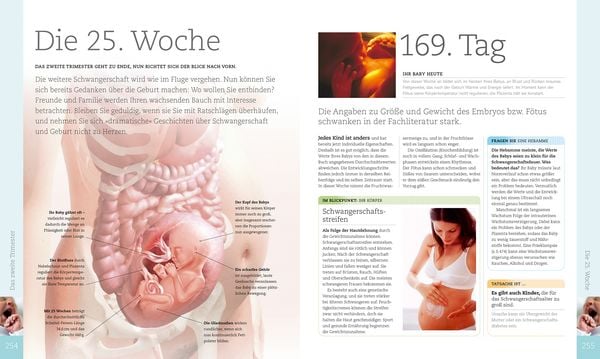 Produktbild: Alles &uuml;ber meine Schwangerschaft Tag f&uuml;r Tag