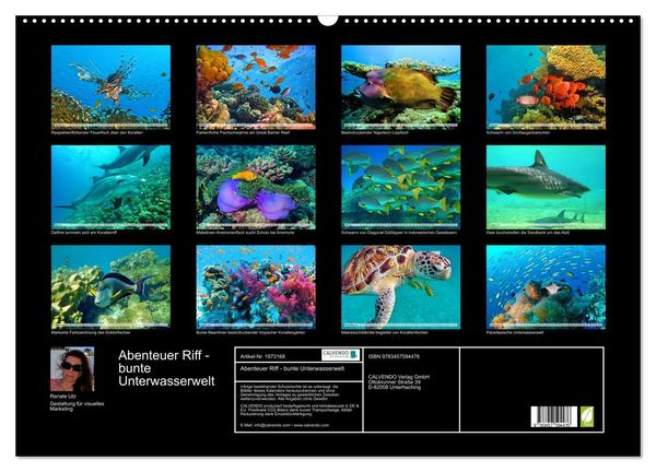Produktbild: Abenteuer Riff - bunte Unterwasserwelt (Wandkalender 2026 DIN A2 quer), CALVENDO Monatskalender