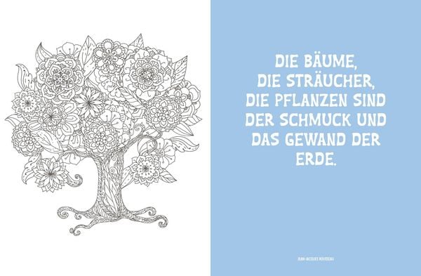 Produktbild: Colorful Mandala &ndash; Botanischer Garten